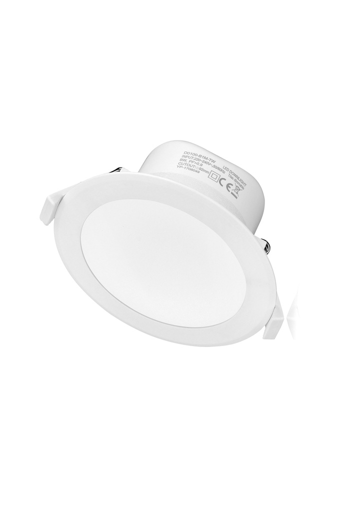 DOWNLIGHT DUE driver interno CCT