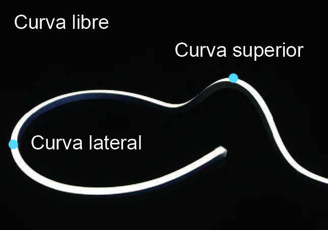 NEON LED U100 220V 10W IP65 Corte 10cm Curva libre - Rollo 20m