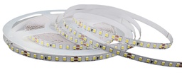 TIRA LED APOLO 24V IP20 S600 5W 120Leds/m 10M/ROLLO CORTE 35MM